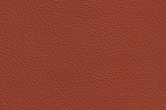 Chance Ochre 04424